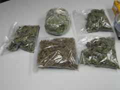 Edgewood Drug Arrest